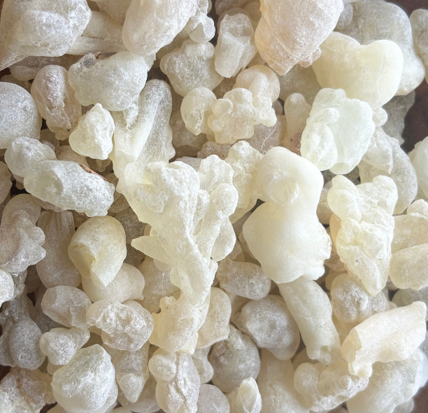 Oliban Royal Hojari d’Oman — Résine Premium 40 g